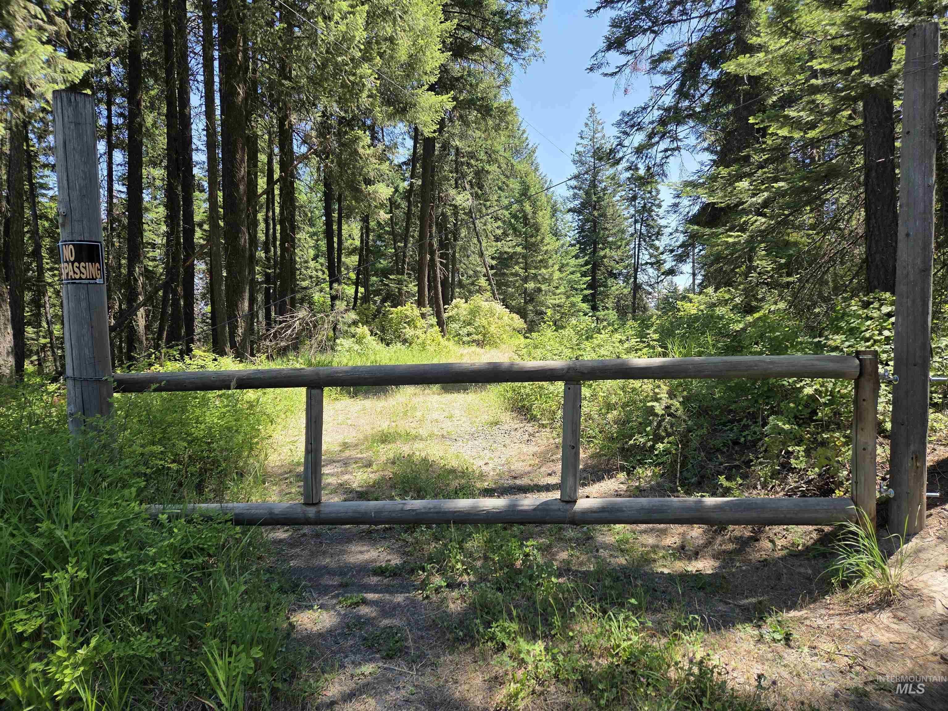 1200 White Pine Flats Rd Property Photo 2