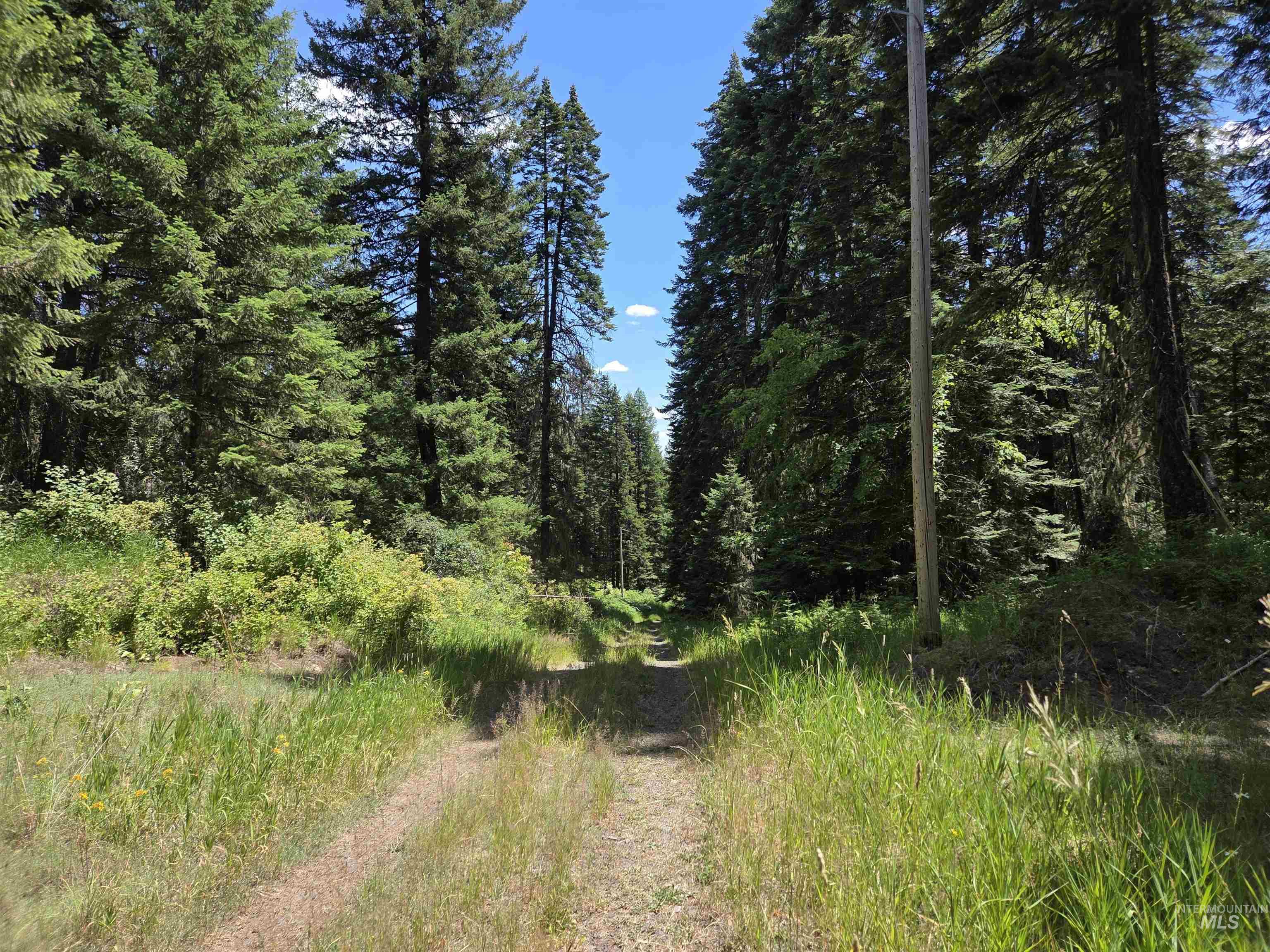 1200 White Pine Flats Rd Property Photo 3