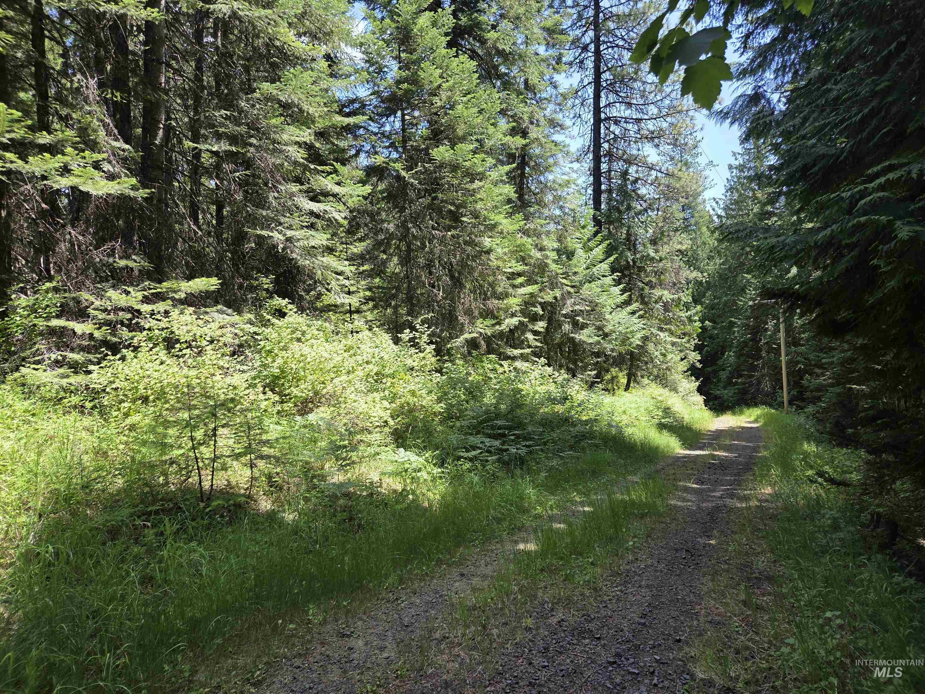 1200 White Pine Flats Rd Property Photo 4