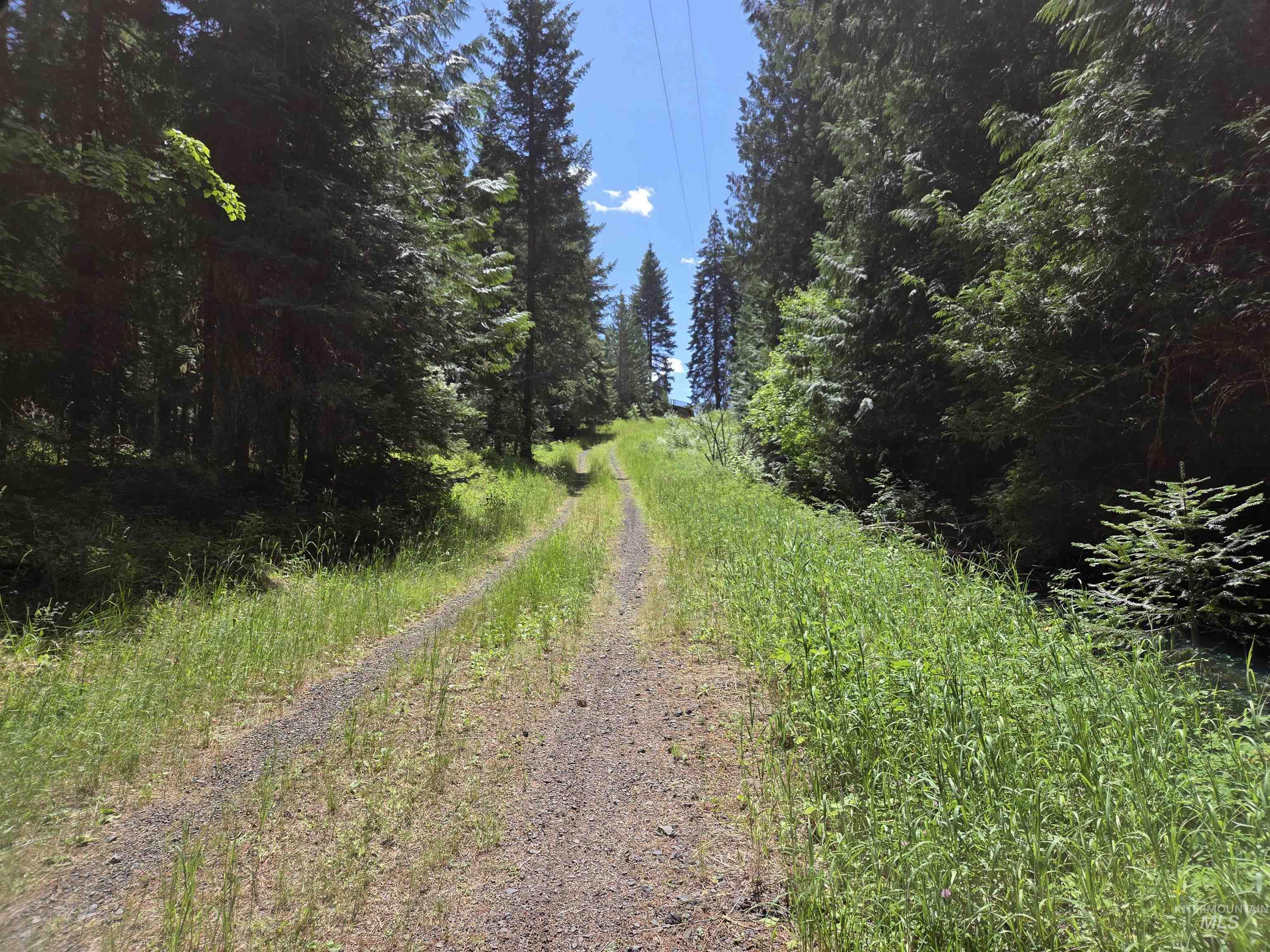 1200 White Pine Flats Rd Property Photo 5
