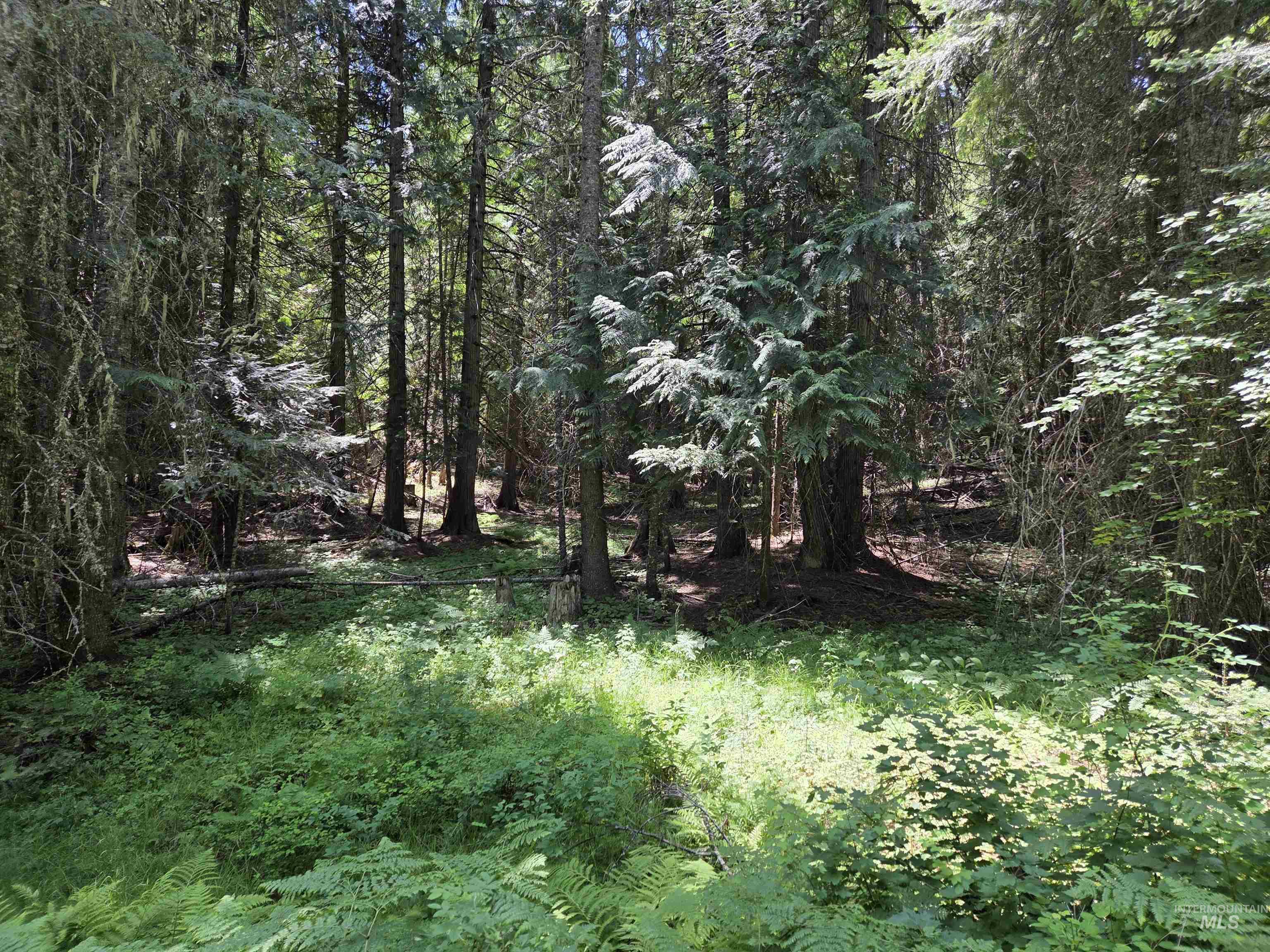 1200 White Pine Flats Rd Property Photo 41