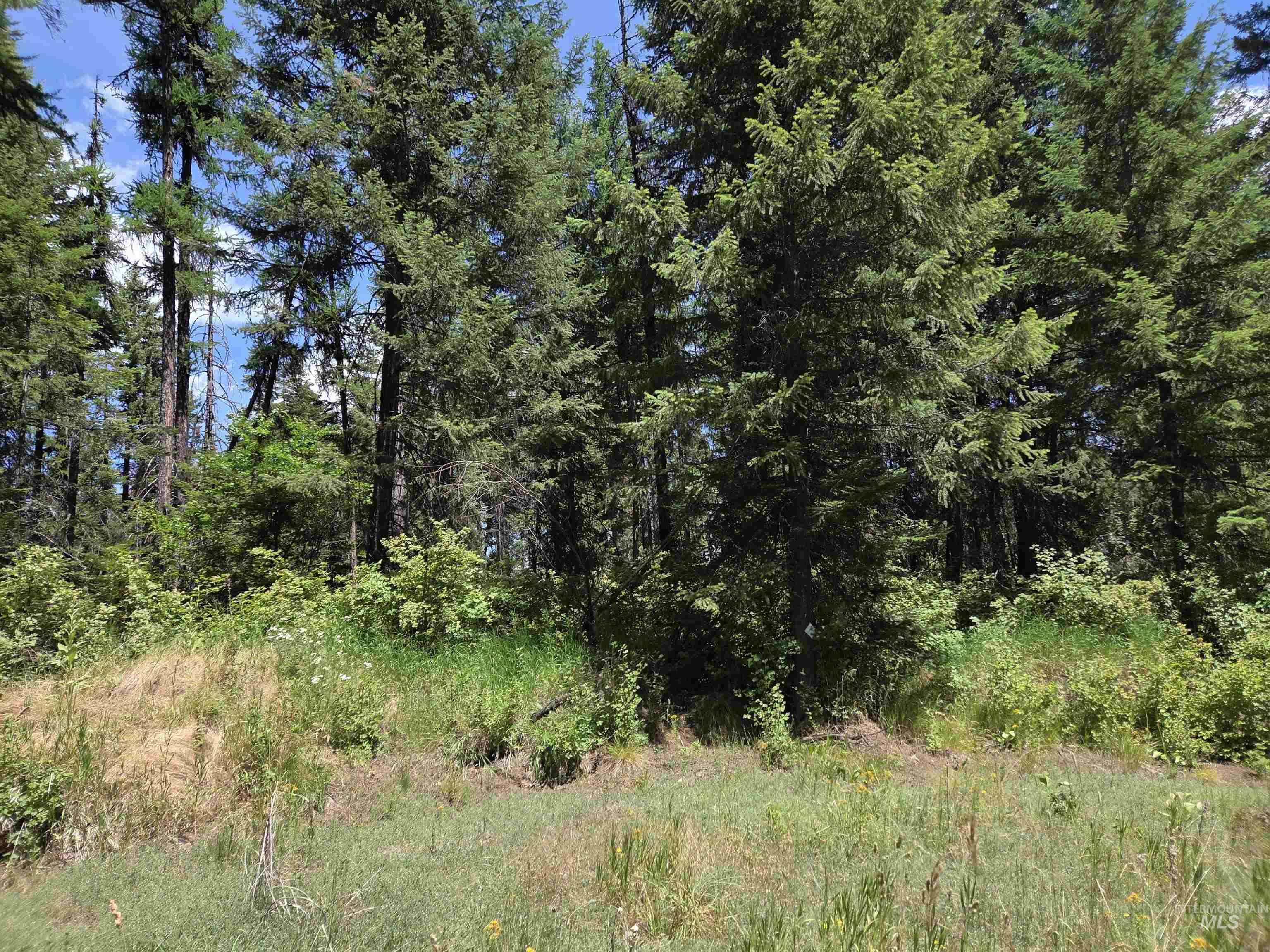 1200 White Pine Flats Rd Property Photo 48