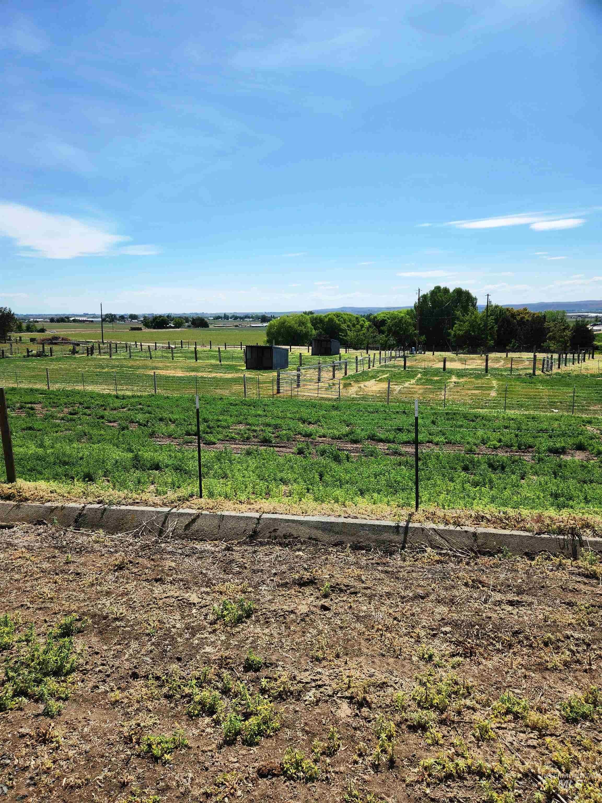 Tbd Hill Road Property Photo 12