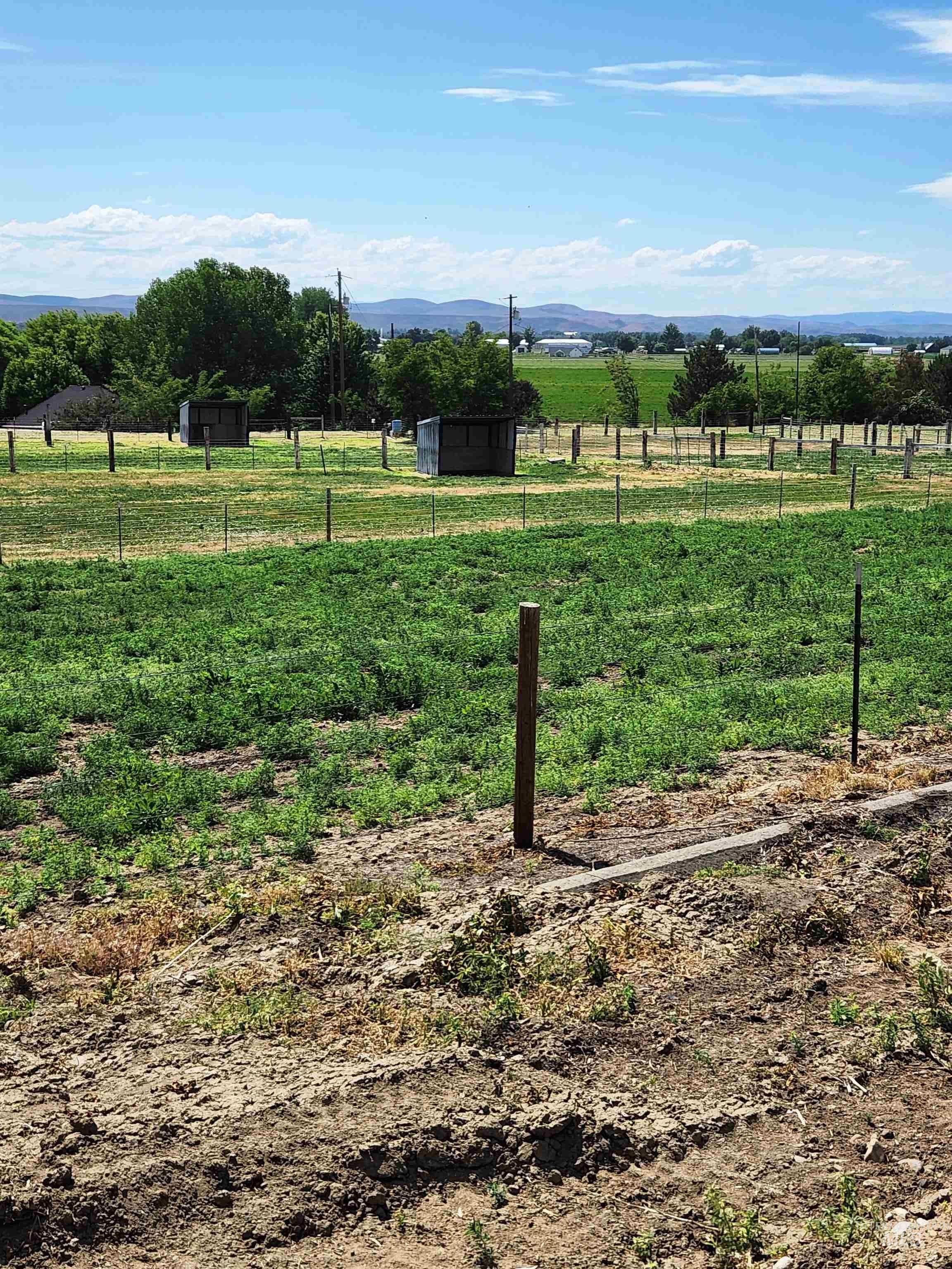 Tbd Hill Road Property Photo 17