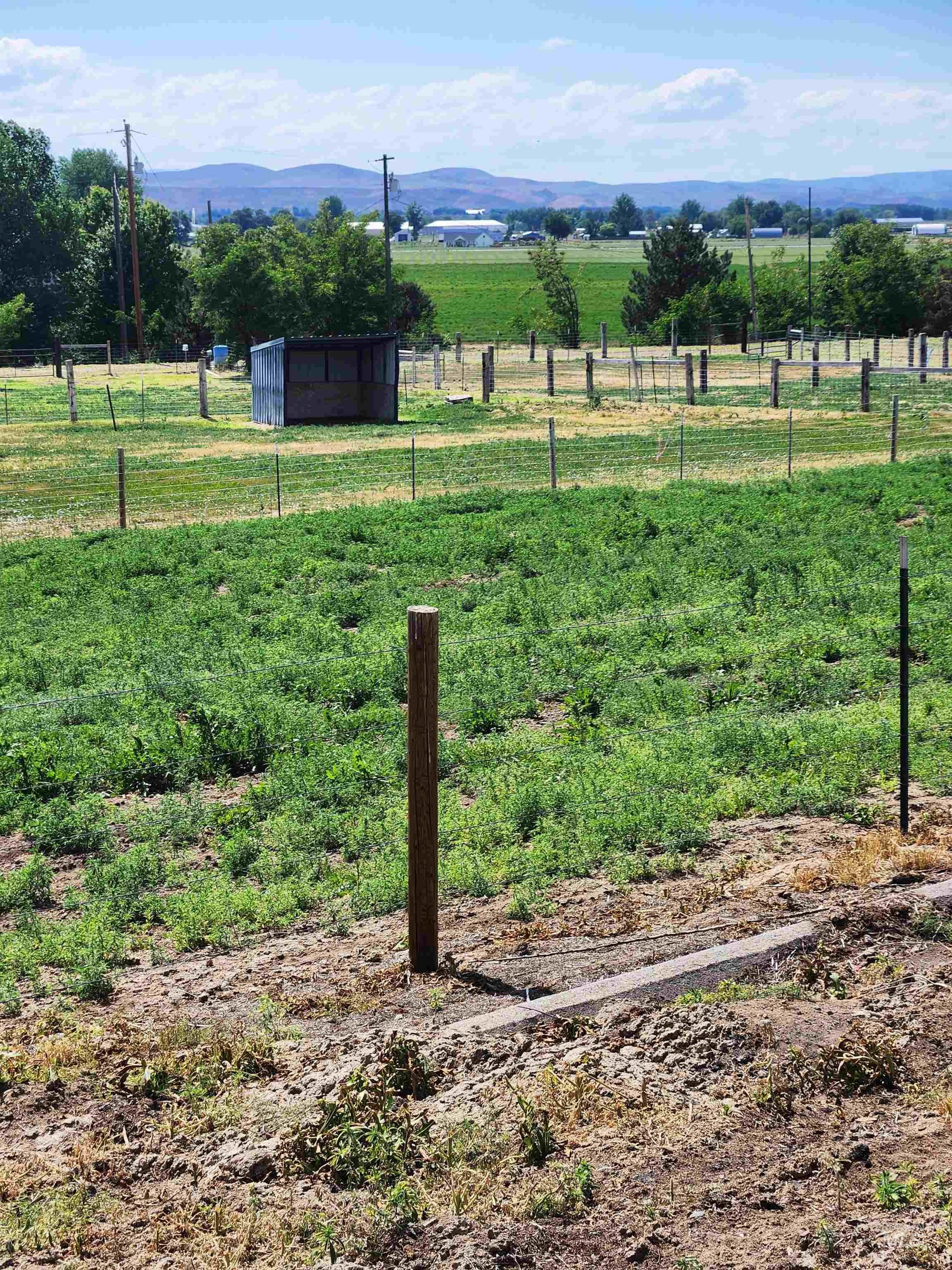 Tbd Hill Road Property Photo 20