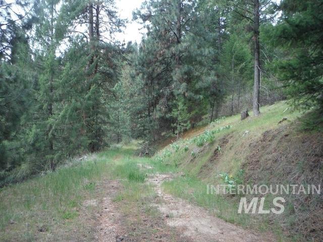 Tbd Lot 4 Wilderness Ridge Property Photo 1