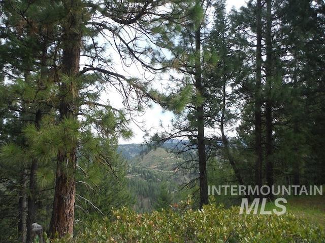 Tbd Lot 4 Wilderness Ridge Property Photo 2