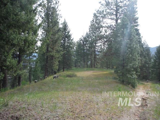 Tbd Lot 4 Wilderness Ridge Property Photo 3