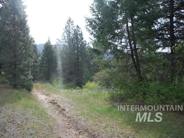 Tbd Lot 4 Wilderness Ridge Property Photo 5