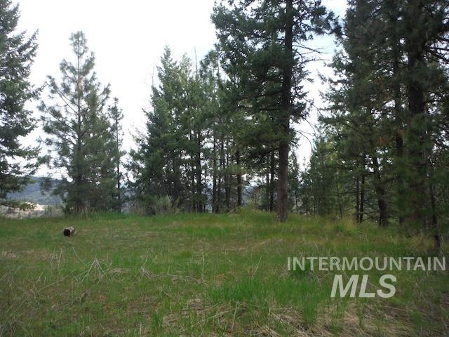 Tbd Lot 4 Wilderness Ridge Property Photo 6