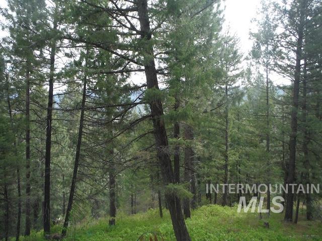 Tbd Lot 4 Wilderness Ridge Property Photo 7