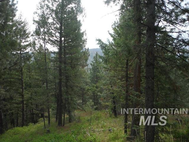 Tbd Lot 4 Wilderness Ridge Property Photo 8