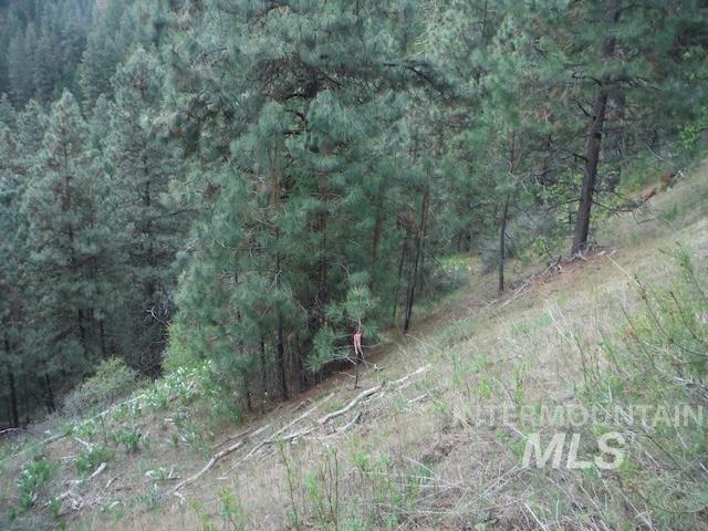 Tbd Lot 4 Wilderness Ridge Property Photo 10