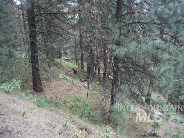Tbd Lot 4 Wilderness Ridge Property Photo 11