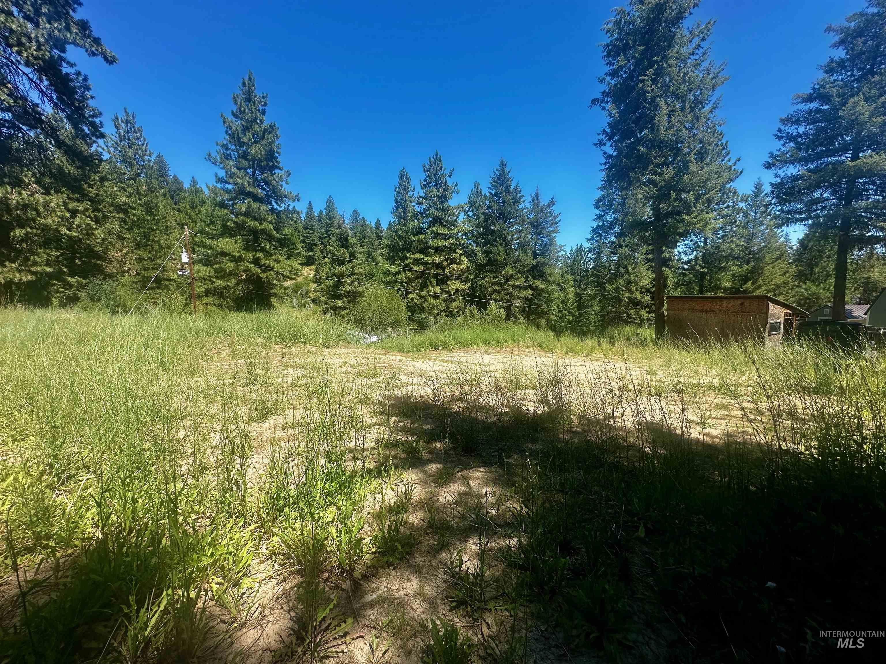 37 Timberline Rd Property Photo 3