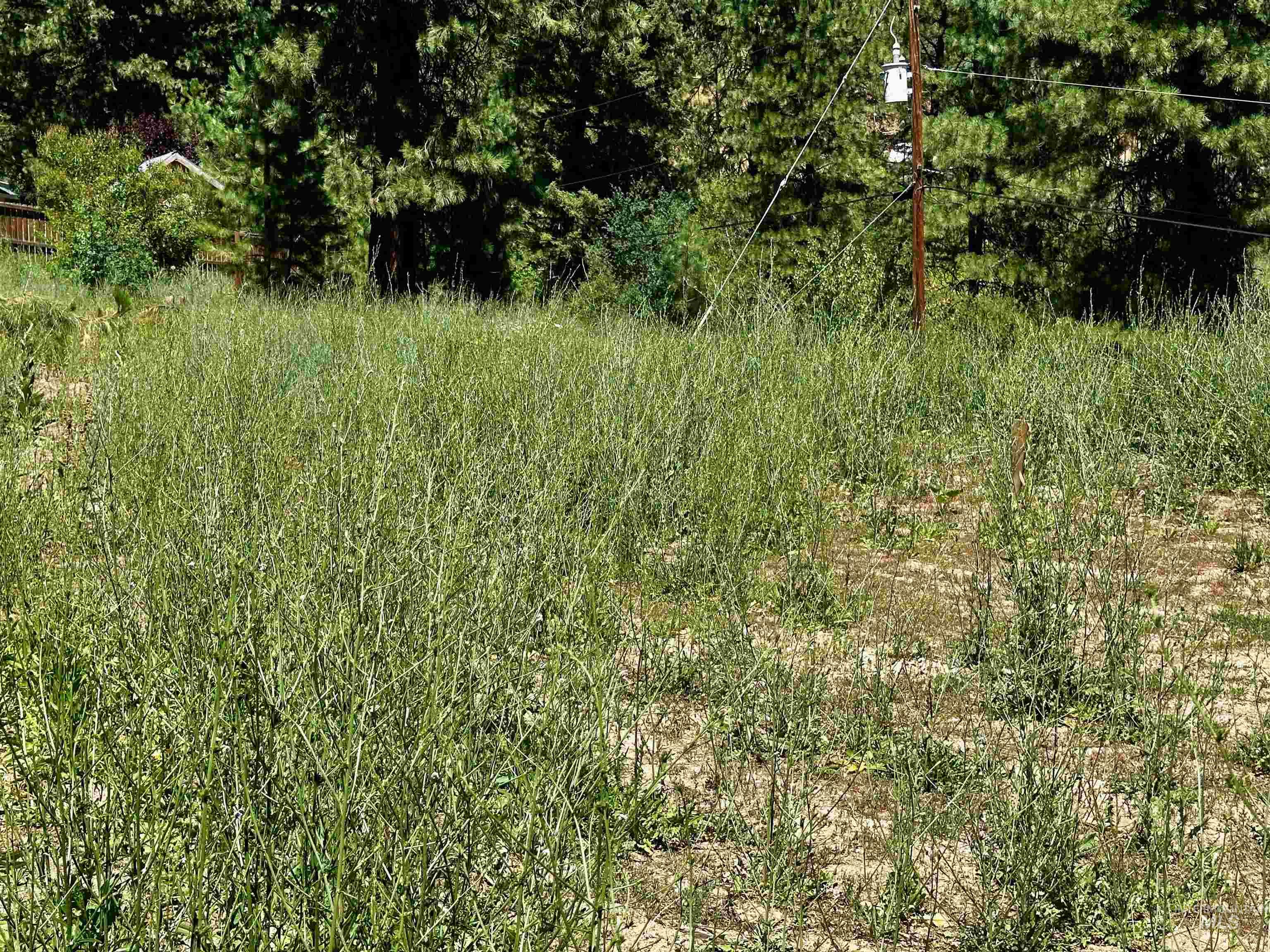 37 Timberline Rd Property Photo 4