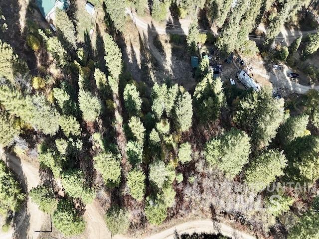 37 Timberline Rd Property Photo 7