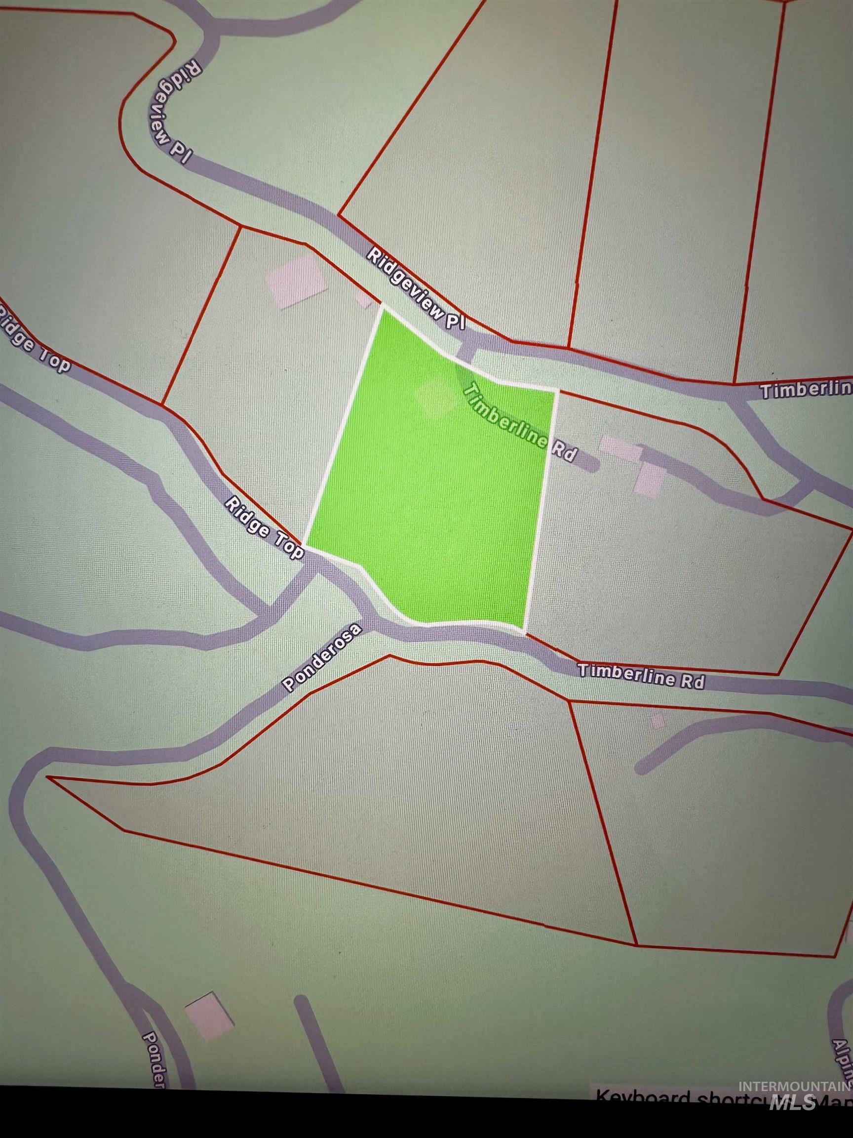 37 Timberline Rd Property Photo 9