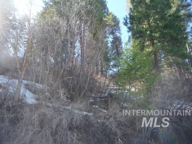 274 Tollgate Rd Property Photo 5