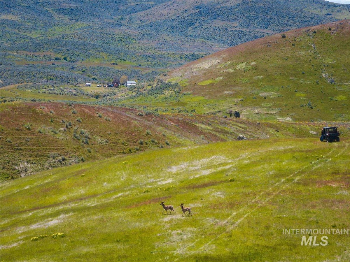 Tbd 277 Ac Timber Butte Rd Property Photo 4