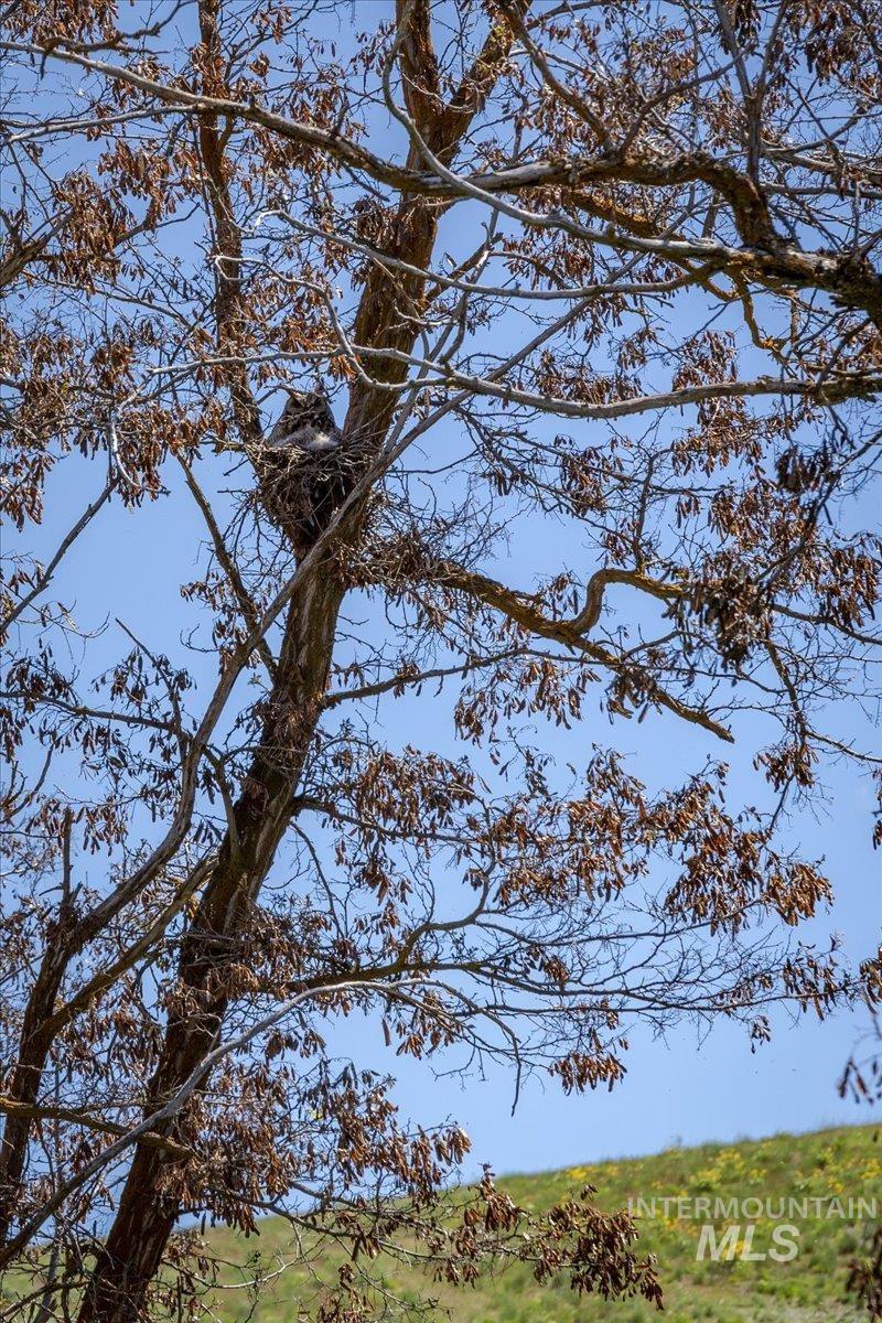 Tbd 277 Ac Timber Butte Rd Property Photo 11
