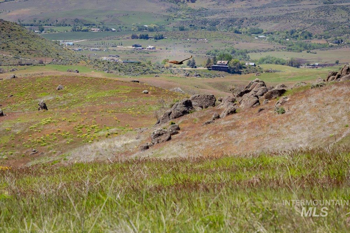 Tbd 277 Ac Timber Butte Rd Property Photo 24