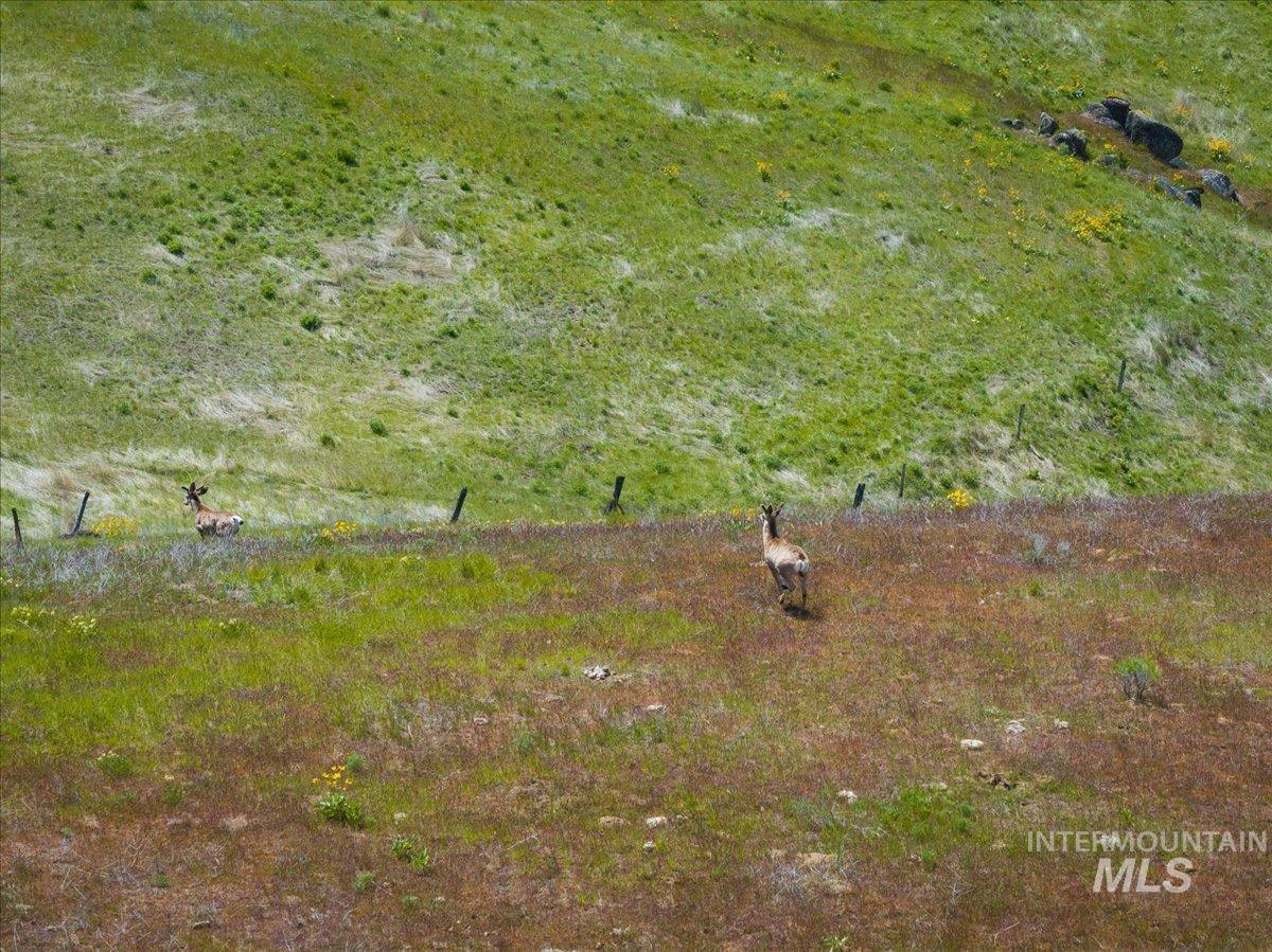 Tbd 277 Ac Timber Butte Rd Property Photo 31