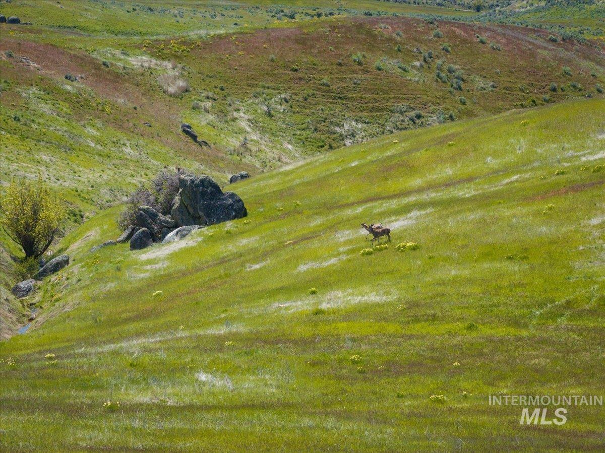 Tbd 277 Ac Timber Butte Rd Property Photo 32