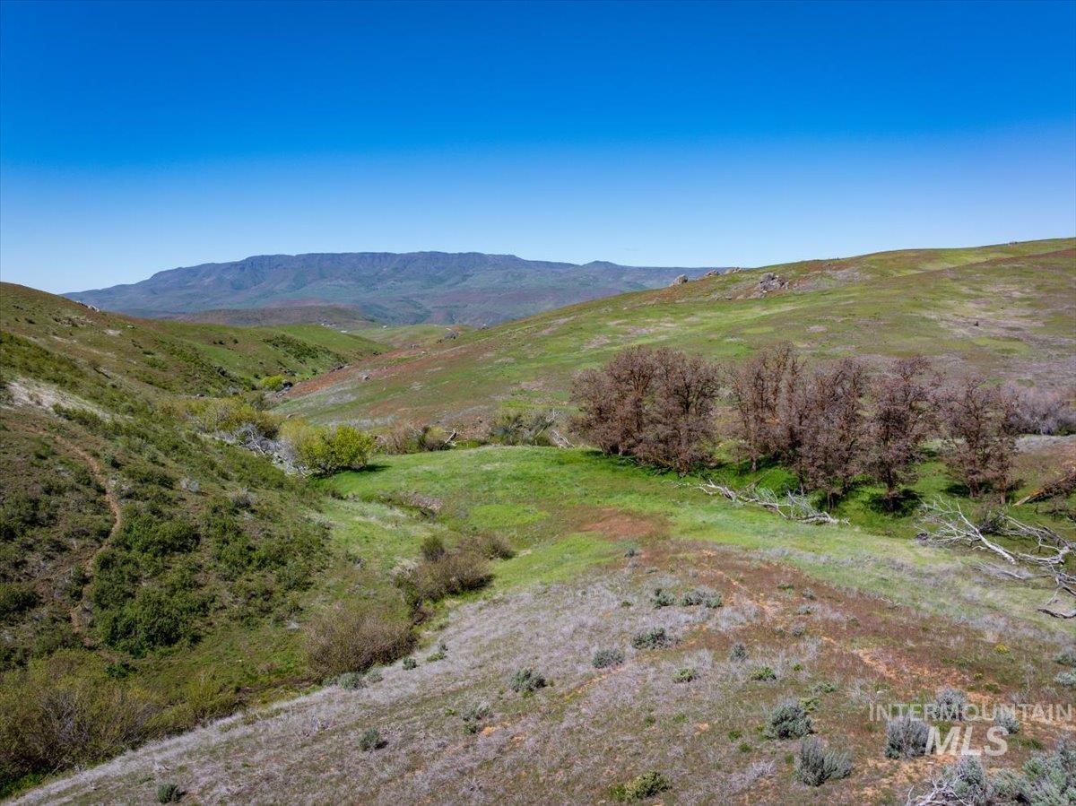 277 Acres Timber Butte Rd Property Photo 3