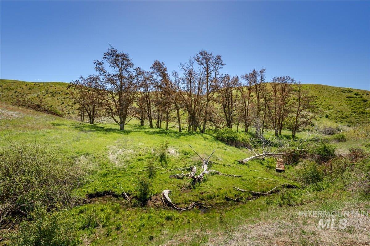 277 Acres Timber Butte Rd Property Photo 5