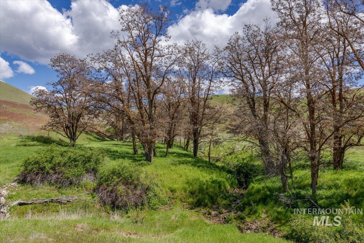 277 Acres Timber Butte Rd Property Photo 6