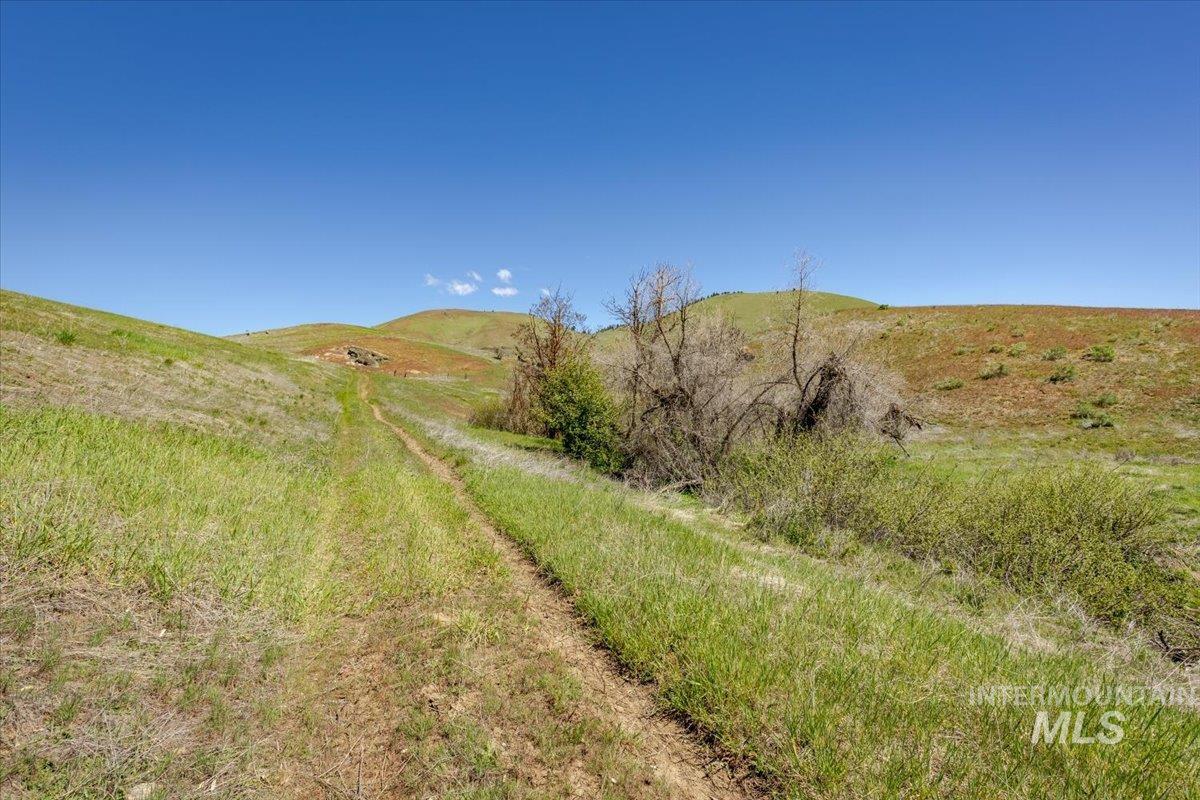 277 Acres Timber Butte Rd Property Photo 14