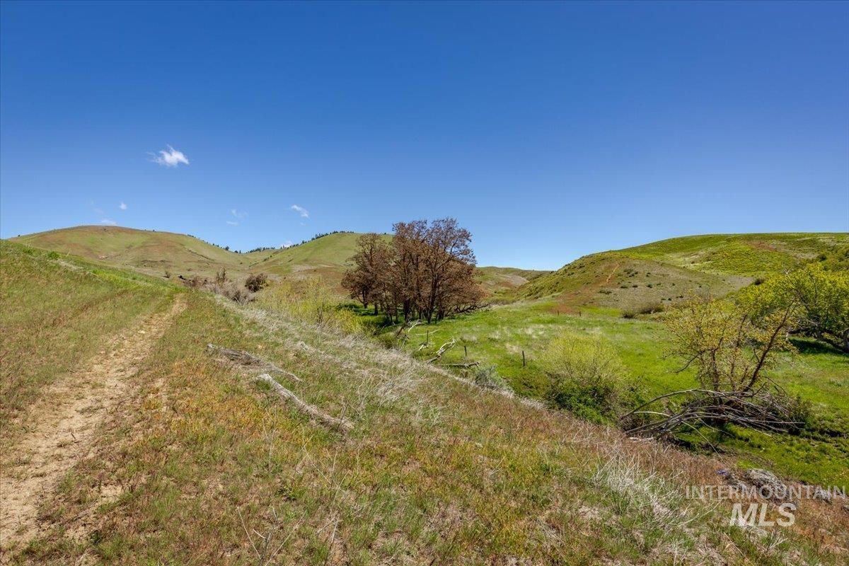 277 Acres Timber Butte Rd Property Photo 16