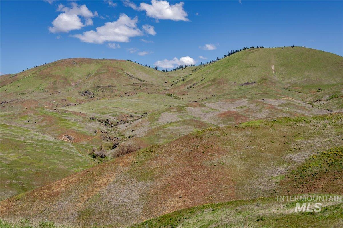 277 Acres Timber Butte Rd Property Photo 20