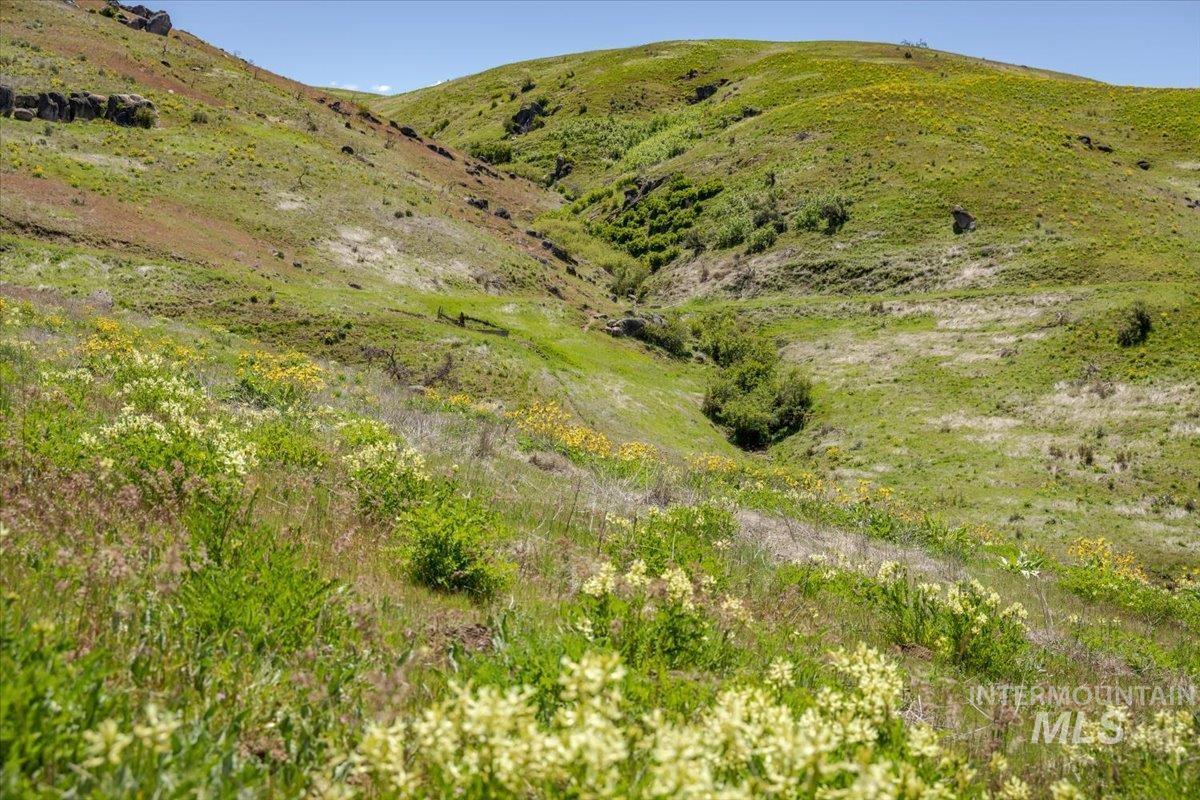 277 Acres Timber Butte Rd Property Photo 25