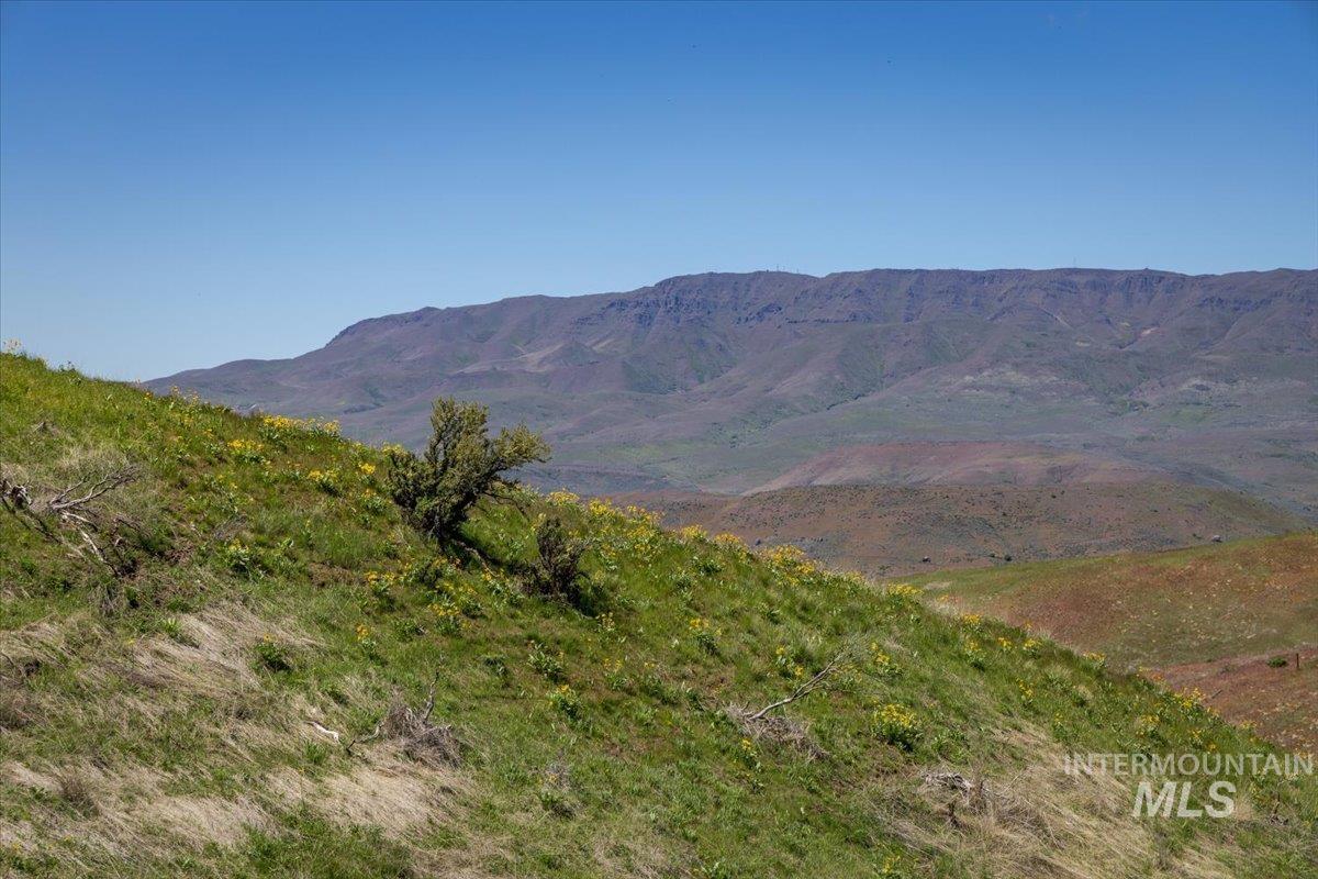 277 Acres Timber Butte Rd Property Photo 30