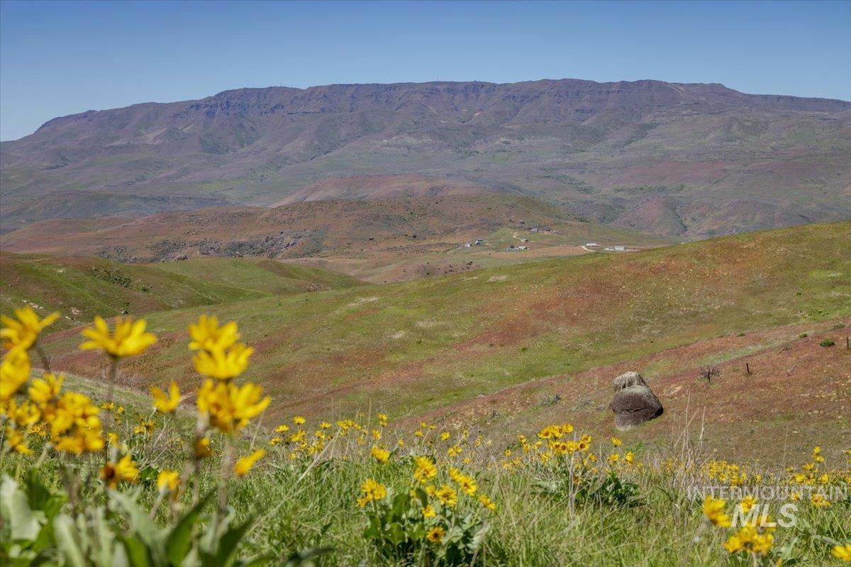 277 Acres Timber Butte Rd Property Photo 33