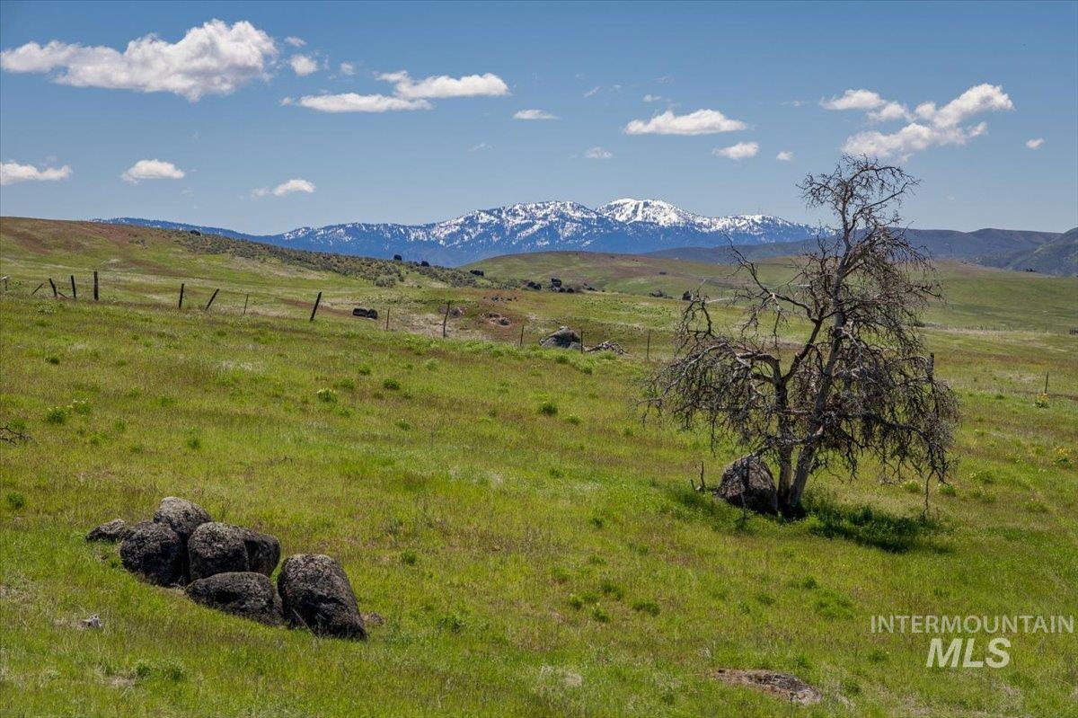 277 Acres Timber Butte Rd Property Photo 39