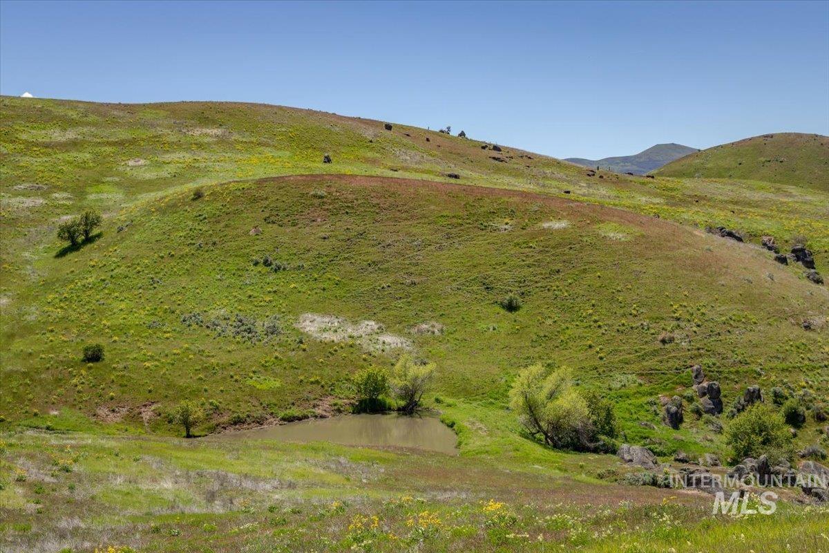 277 Acres Timber Butte Rd Property Photo 43