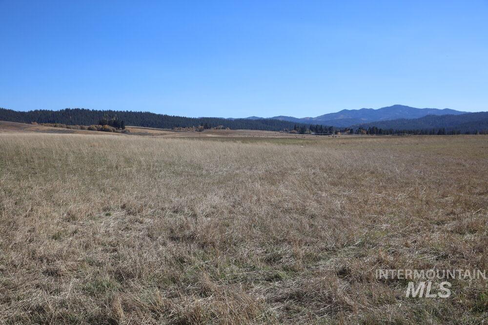 408 Gold Fork Rd (250 Acres) Property Photo 5