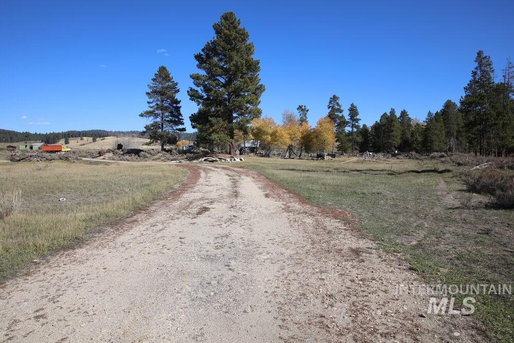 408 Gold Fork Rd (250 Acres) Property Photo 13