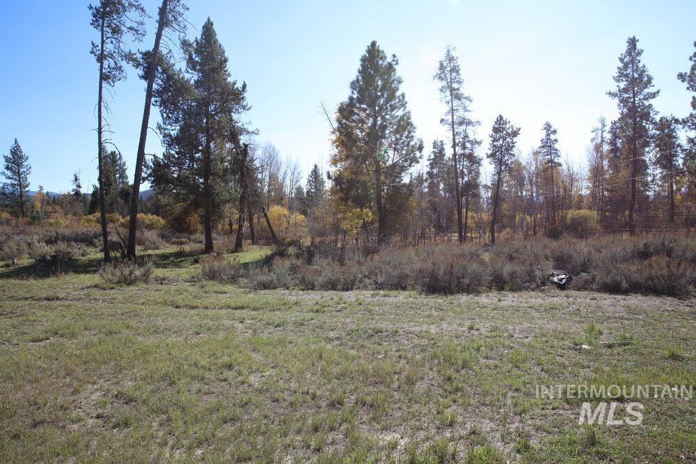 408 Gold Fork Rd (250 Acres) Property Photo 15