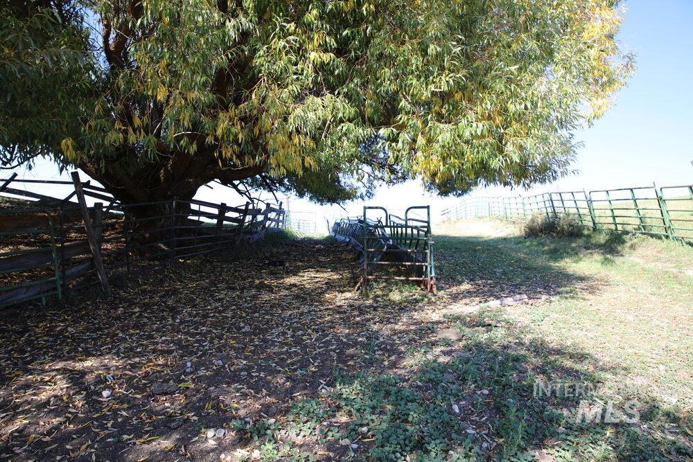 408 Gold Fork Rd (250 Acres) Property Photo 20