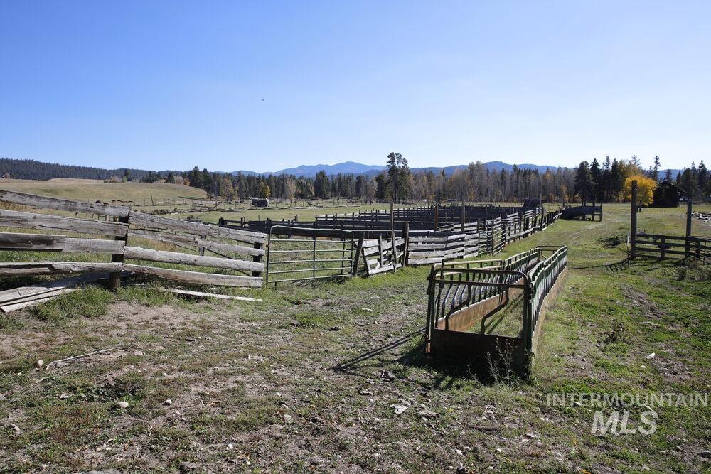 408 Gold Fork Rd (250 Acres) Property Photo 21