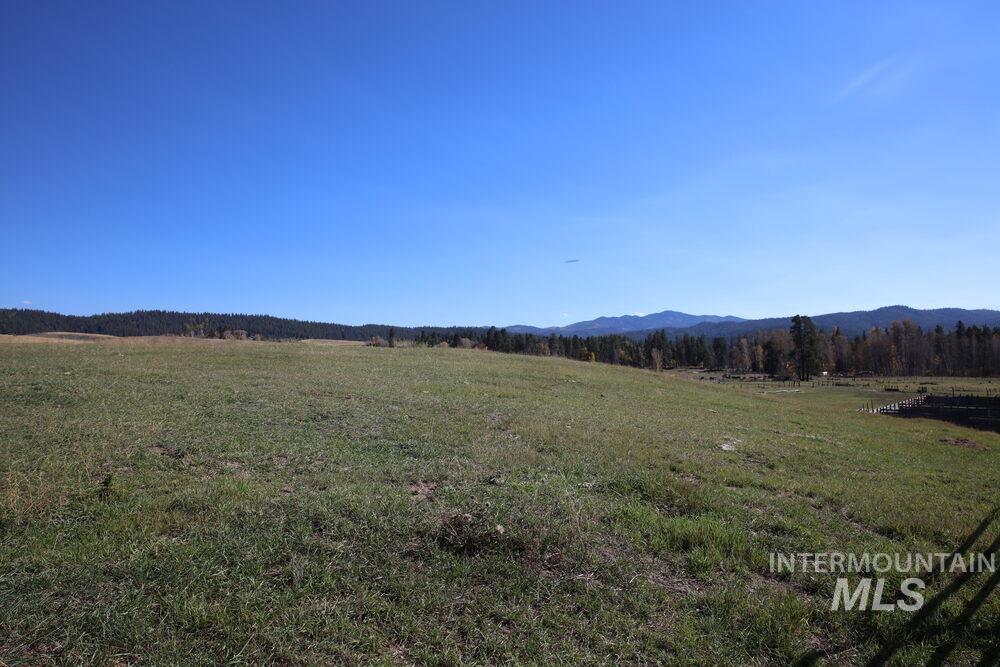 408 Gold Fork Rd (250 Acres) Property Photo 24