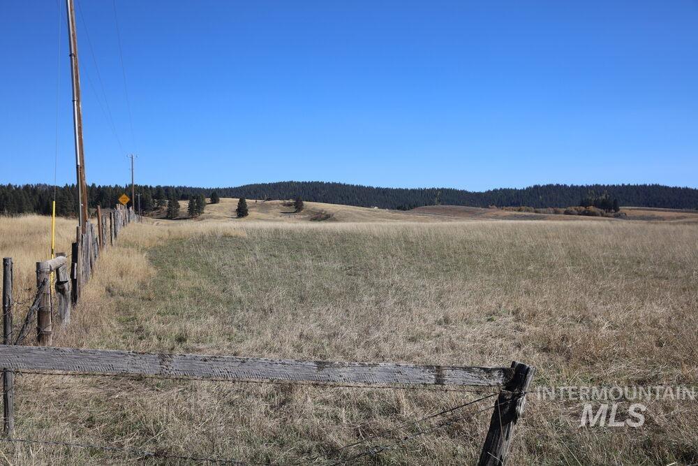 408 Gold Fork Rd (250 Acres) Property Photo 27