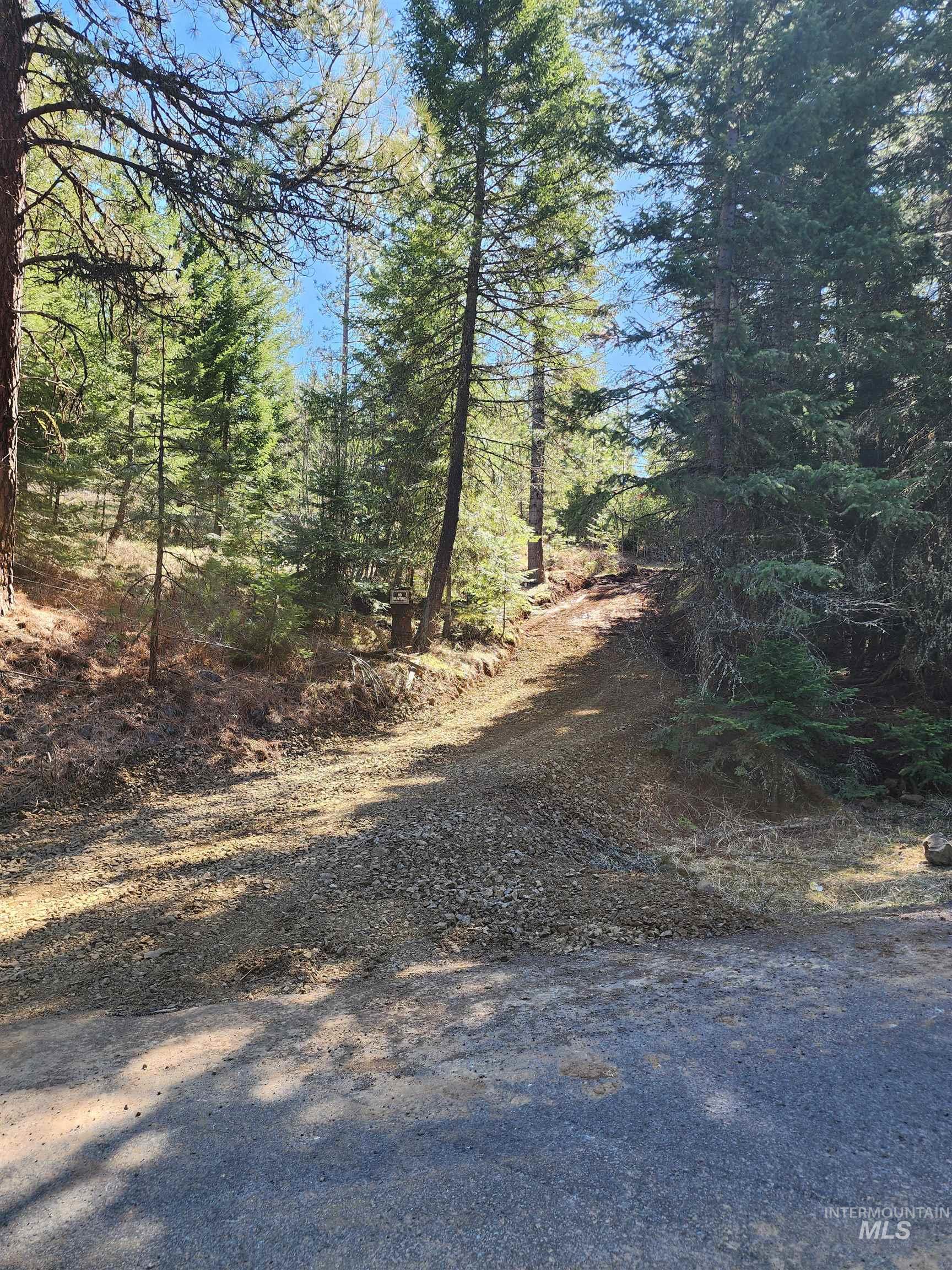 Tbd Grangeville-salmon Road Property Photo 1