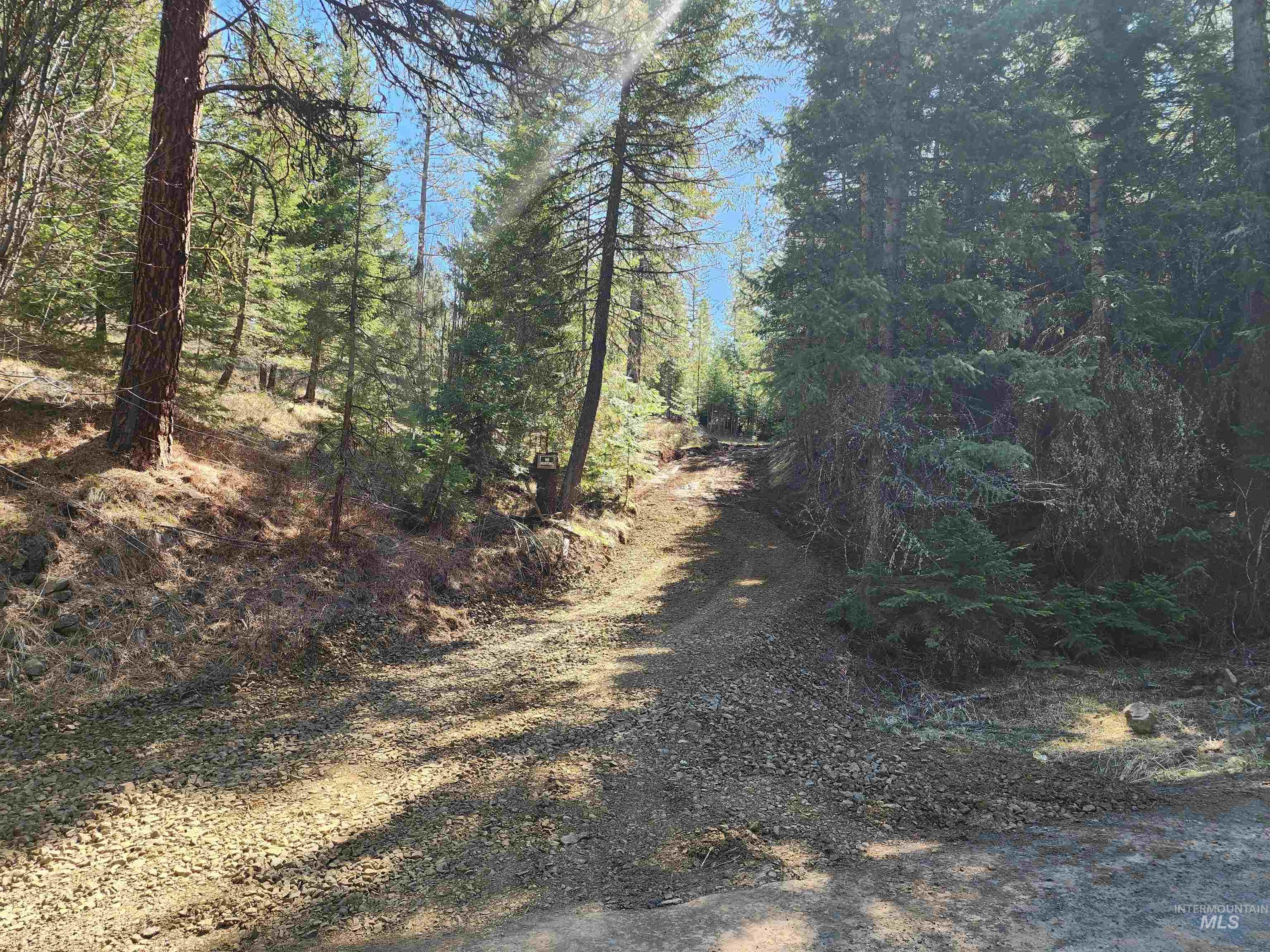 Tbd Grangeville-salmon Road Property Photo 2
