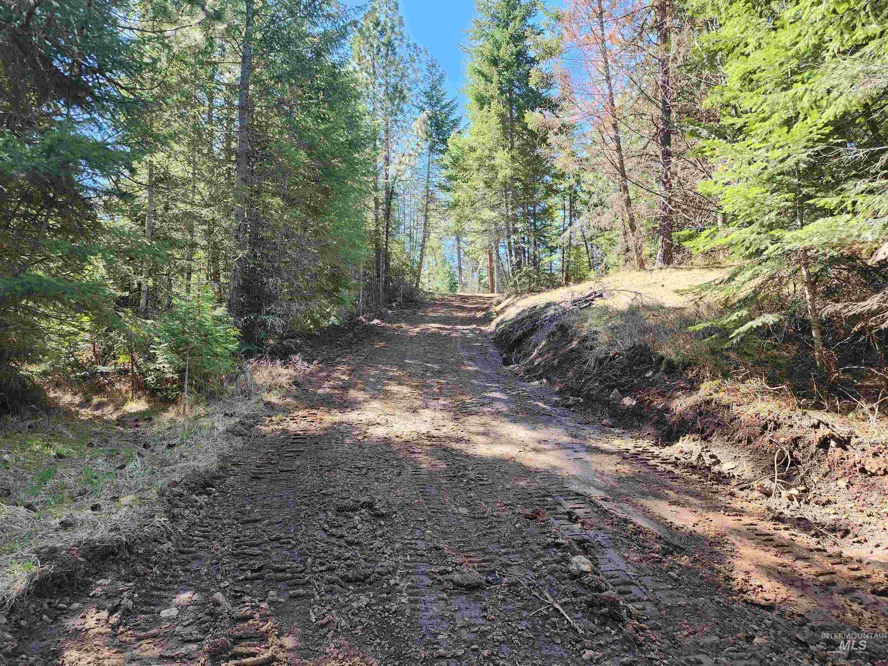 Tbd Grangeville-salmon Road Property Photo 3
