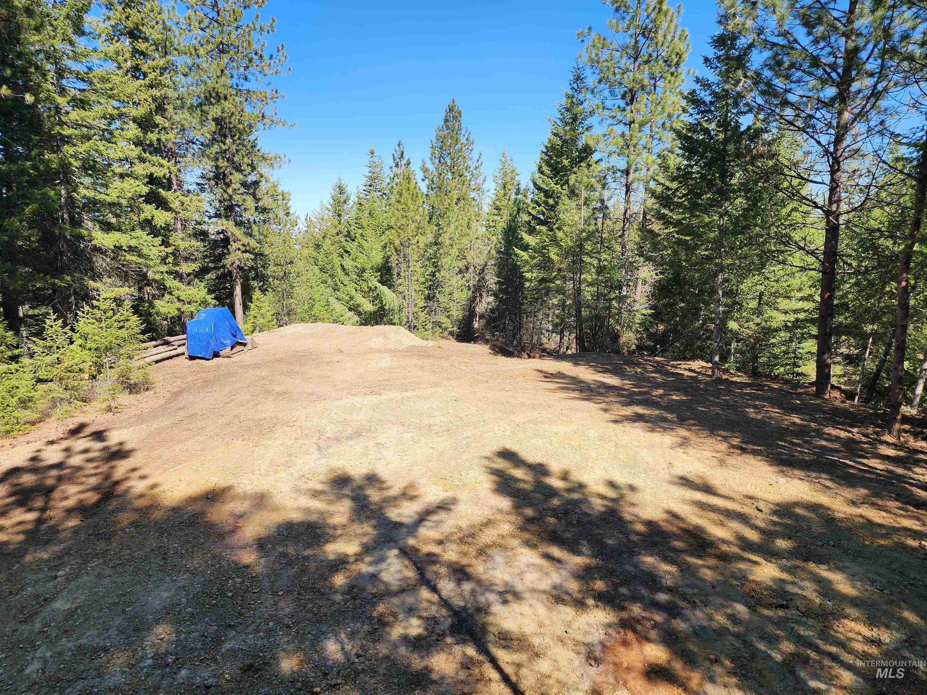 Tbd Grangeville-salmon Road Property Photo 4